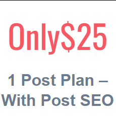 1 Post Plan - With Post SEO